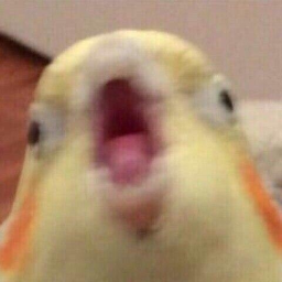 Marmelatto