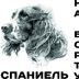 Ksushechka84