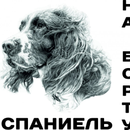 Ksushechka84
