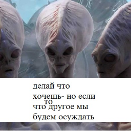 nikomuizkon