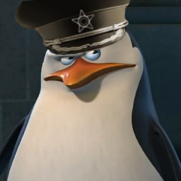 SkipperAVS