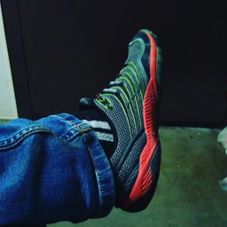 Miro116