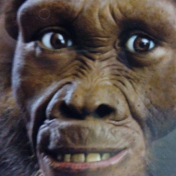 Hythlodaeus