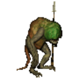 Troglodyte