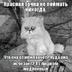 ksunets