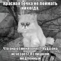 Ksunets