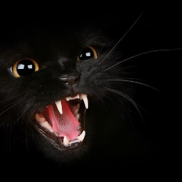 Petpovi4