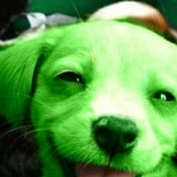 GreenPsina