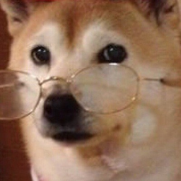 1stsenpai