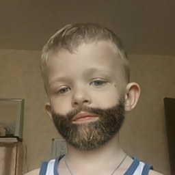 ShulzhenkoV
