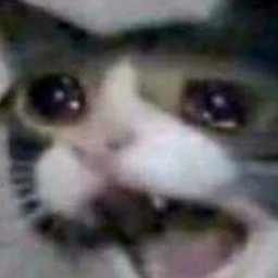 Abayka