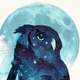 ������ ������������ CloudOwl