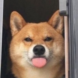 PlqztuQ