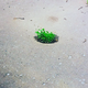 ������ ������������ ZorinaKate