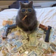 ������ ������������ CatS0up