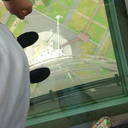 shamanrast