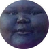 pipipidastr