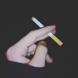 oxxxy111
