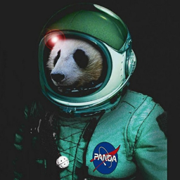 spaceman1982