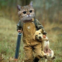 mr.Goodkat13