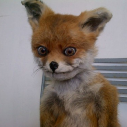 Fox.Writer