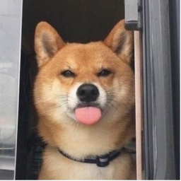 KpblcNHblNxBocT