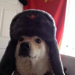 Hawkar