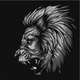 ������ ������������ KingLine