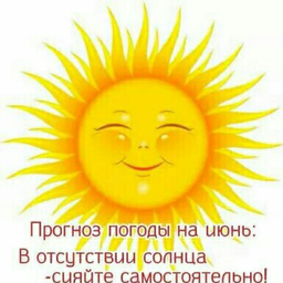Surikatabrz