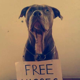freekisses