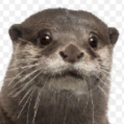 MARMOTINA