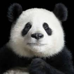 PandaaG
