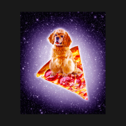 pizzadog