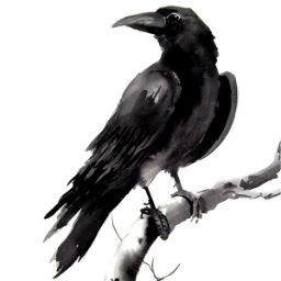 Corvus.Aterum