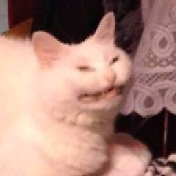 Badimeow