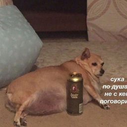 89511752245