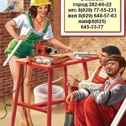 7755231