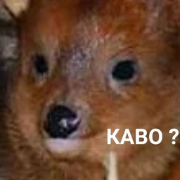 ZLOmbie