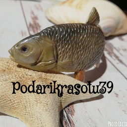 Podarikrasotu39