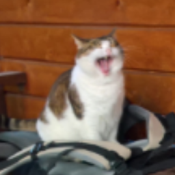 Kowinsky
