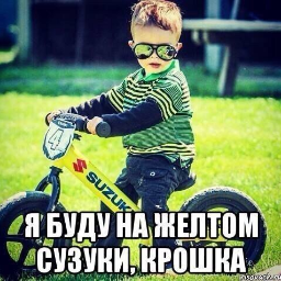 mdomansky