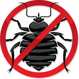 BedBug