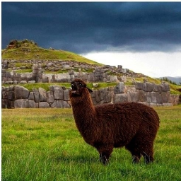 davaylama