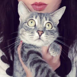 catru.3