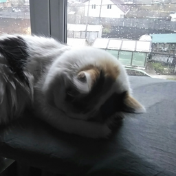 CAHEKMAKAPEK