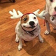 ������ ������������ vorkutinochka