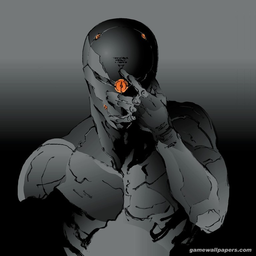 GrayFoxSakh