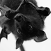lilith14