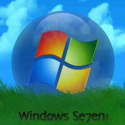 ipsum96