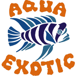 AquaExotic